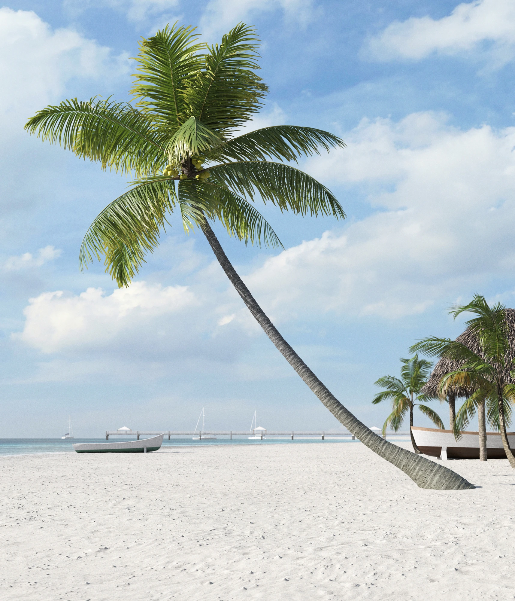 palm trees 040 — Descargar