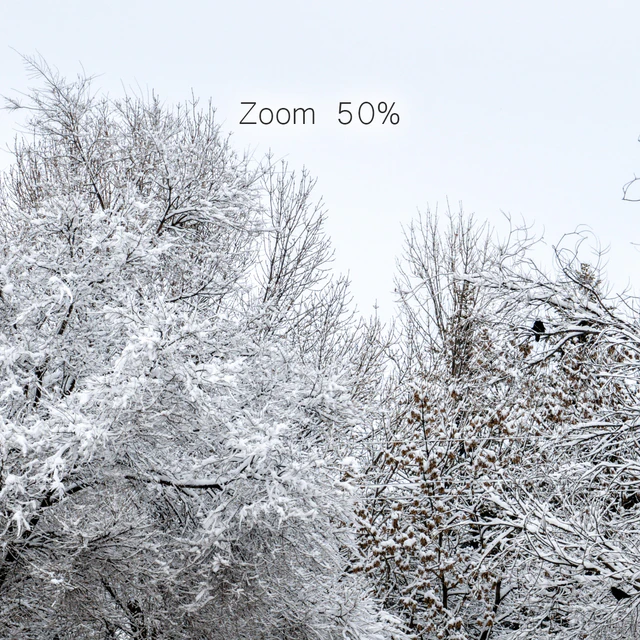 Panorama of the park with a lake and snow-covered trees. 46k — Descargar