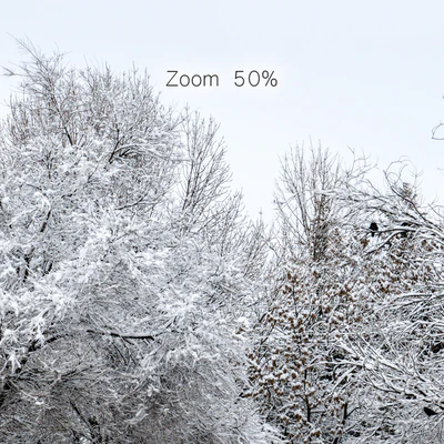 Panorama of the park with a lake and snow-covered trees. 46k — Ver 2