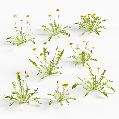 flowers and weeds 015 — Скачать