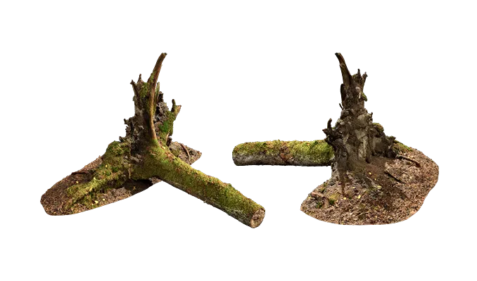 nordic forest tree uprooted small 002 — Descargar