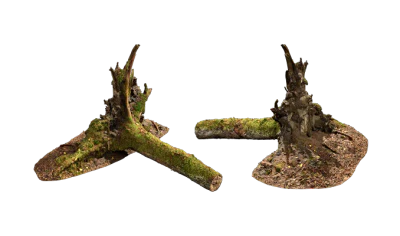 nordic forest tree uprooted small 002 — Descargar