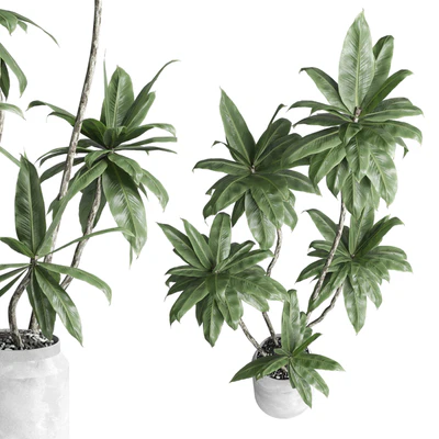 Indoor plant 460 concrete dirt vase plant fiucs tree pot — Ver 3