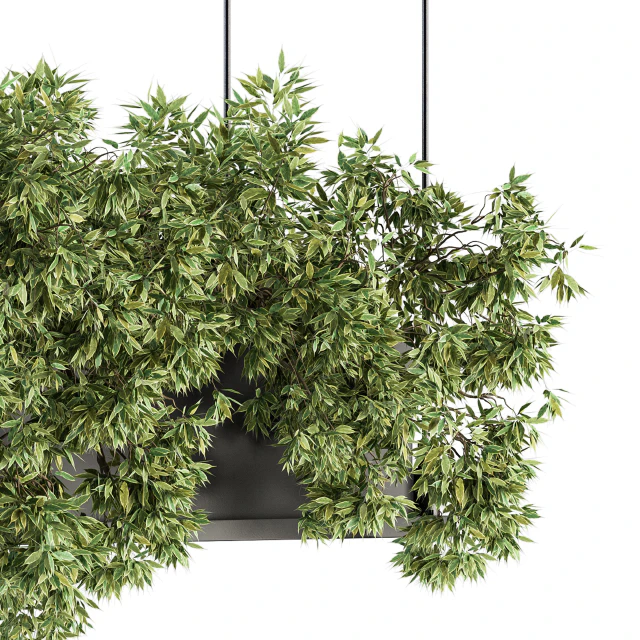 indoor Plant Set 217 - Hanging Plant  Box — Скачать