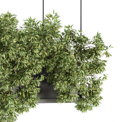 indoor Plant Set 217 - Hanging Plant  Box — Вид 2