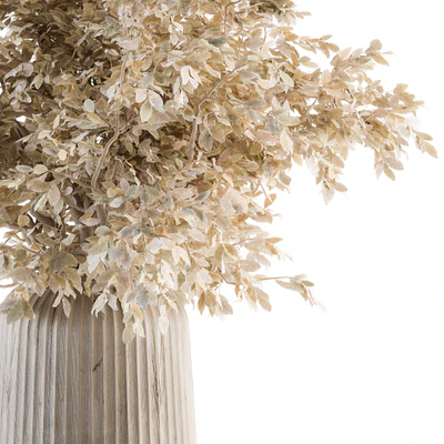 Dry plants 46 - Dried Plant Bouquet — Ver 2