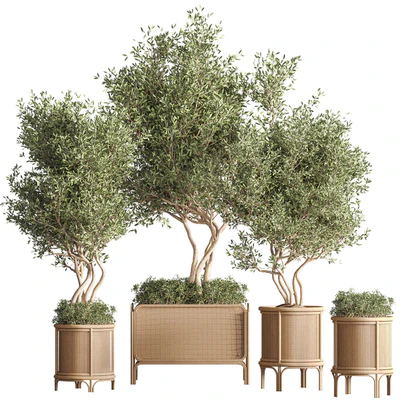 Indoor Plant Set 40 — Вид 2