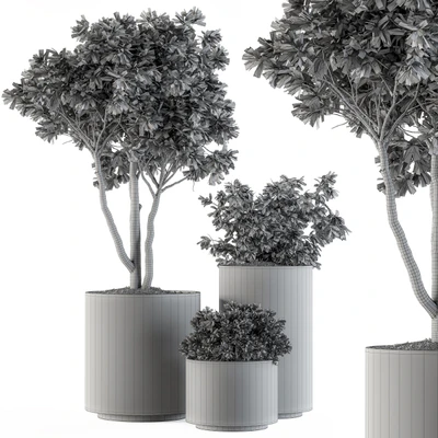 Outdoor Plants Tree in pot - Set 94 — Ver 2