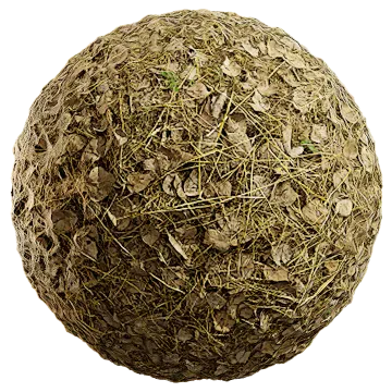 grass dried 071 — Descargar