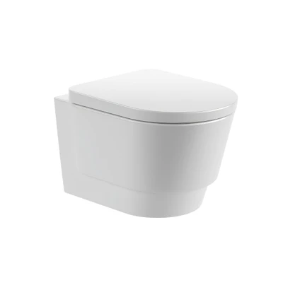 tura wc wall hung by roca — Descargar