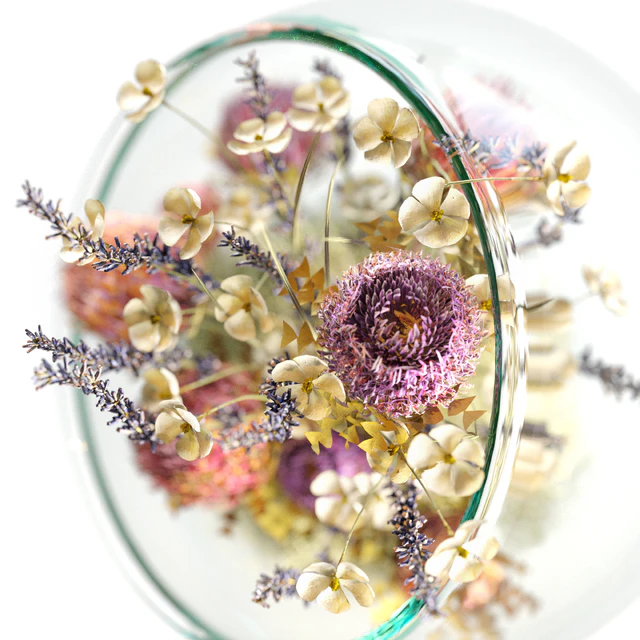 Bouquet with dry protea, lavender and white flowers — Descargar