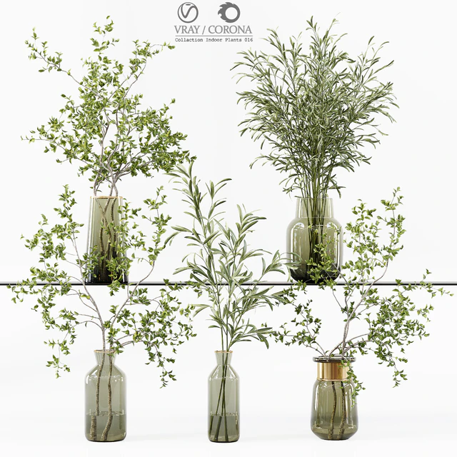 Collection Indoor Plants 016 — Descargar
