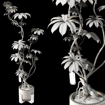 Bonsai FicusTree Set 345 — Ver 3