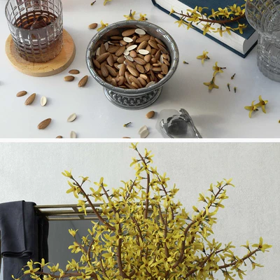 Forsythia decorative set — Ver 2