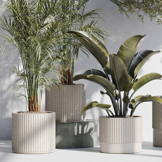 indoor plant set 69 — Descargar