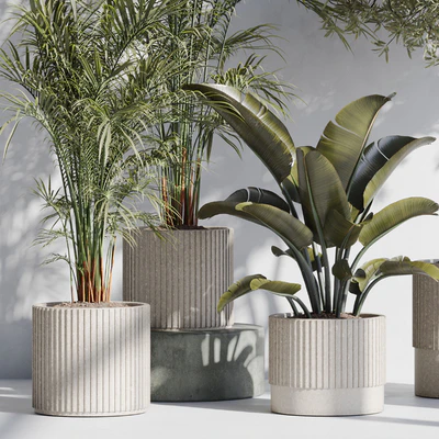 indoor plant set 69 — Ver 2