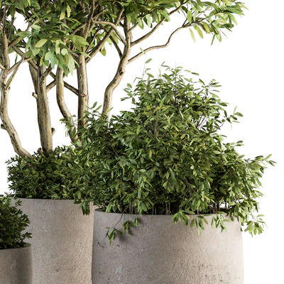 Outdoor Plants tree in Concrete Pot - Set 128 — Вид 2