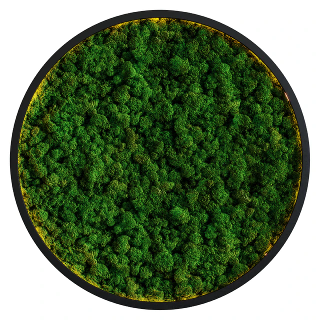 Moss wall — Descargar