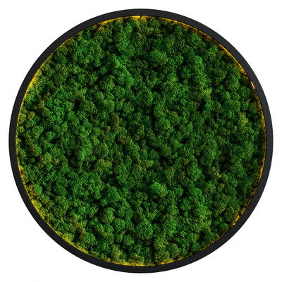 Moss wall — Ver 1