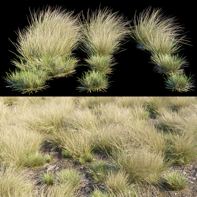 Eskdale grass — Descargar
