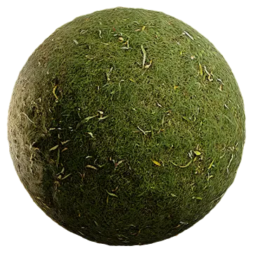 grass and leaves 008 — Скачать