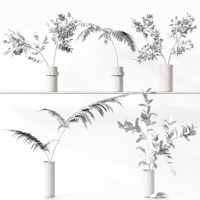 Collection Indoor Plants 058 — Ver 2