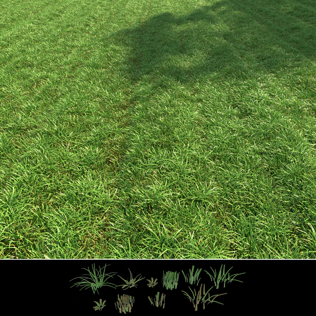 Regular grass — Descargar