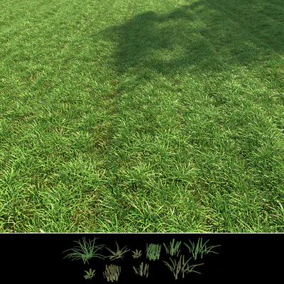 Regular grass — Ver 2