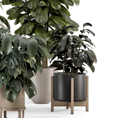 Indoor Plants in Ferm Living Bau Pot Large - Set 1361 — Ver 2