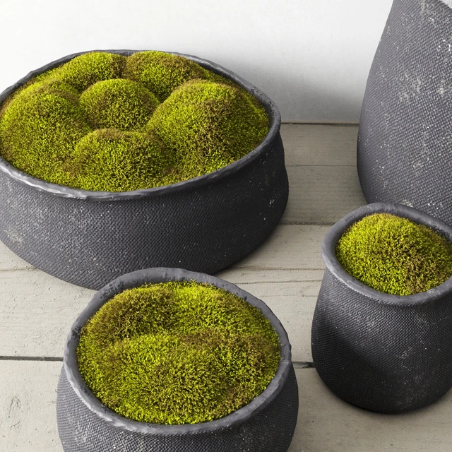 Crosshatch concrete vessel collection with moss — Descargar