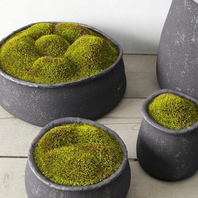 Crosshatch concrete vessel collection with moss — Ver 2