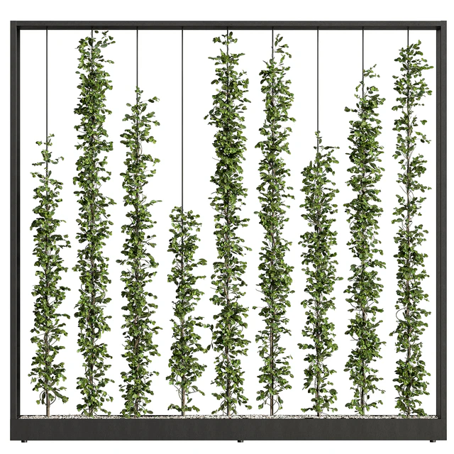 Green Wall - Plants partition 06 — Descargar
