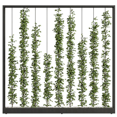 Green Wall - Plants partition 06 — Ver 1