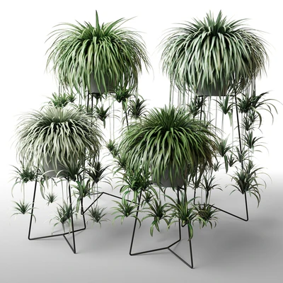 Indoor plants in floor planters — Descargar