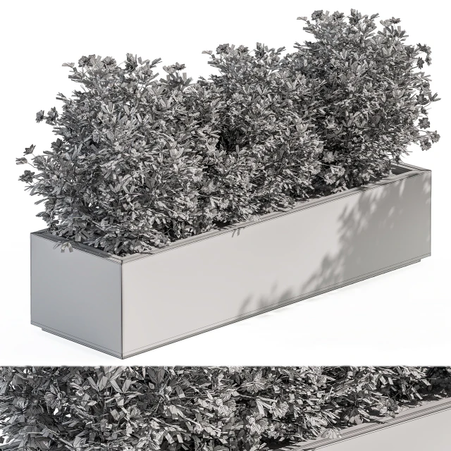 Outdoor Plant Set 304 - Plant Box — Descargar