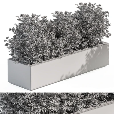 Outdoor Plant Set 304 - Plant Box — Ver 2