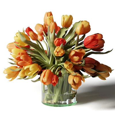 Yellow, red and white tulips in glass vases — Ver 2