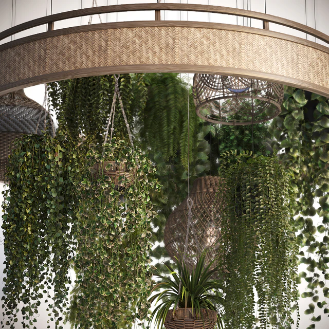 Plants with Wicker Pendants — Скачать