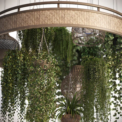 Plants with Wicker Pendants — Вид 2
