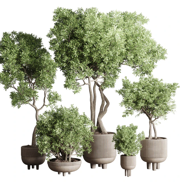 Collection Indoor Outdoor plant 118 vase concrete pot tree corona — Скачать