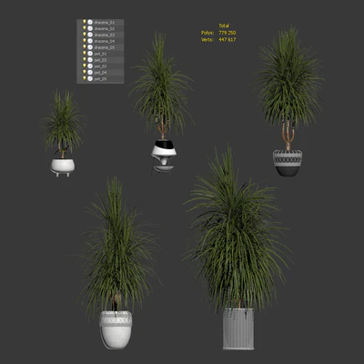 Collection of plants. Dracaena v2 — Ver 3