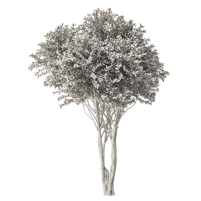 Tree No. 38 — Скачать