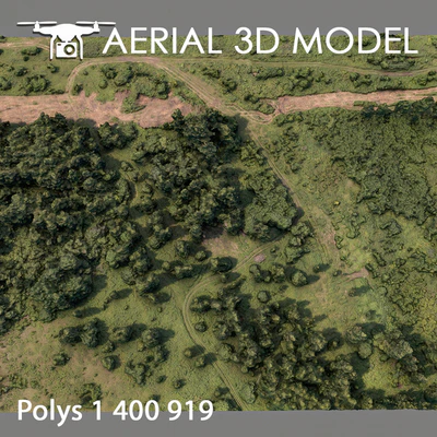 Forest 75 — View 2