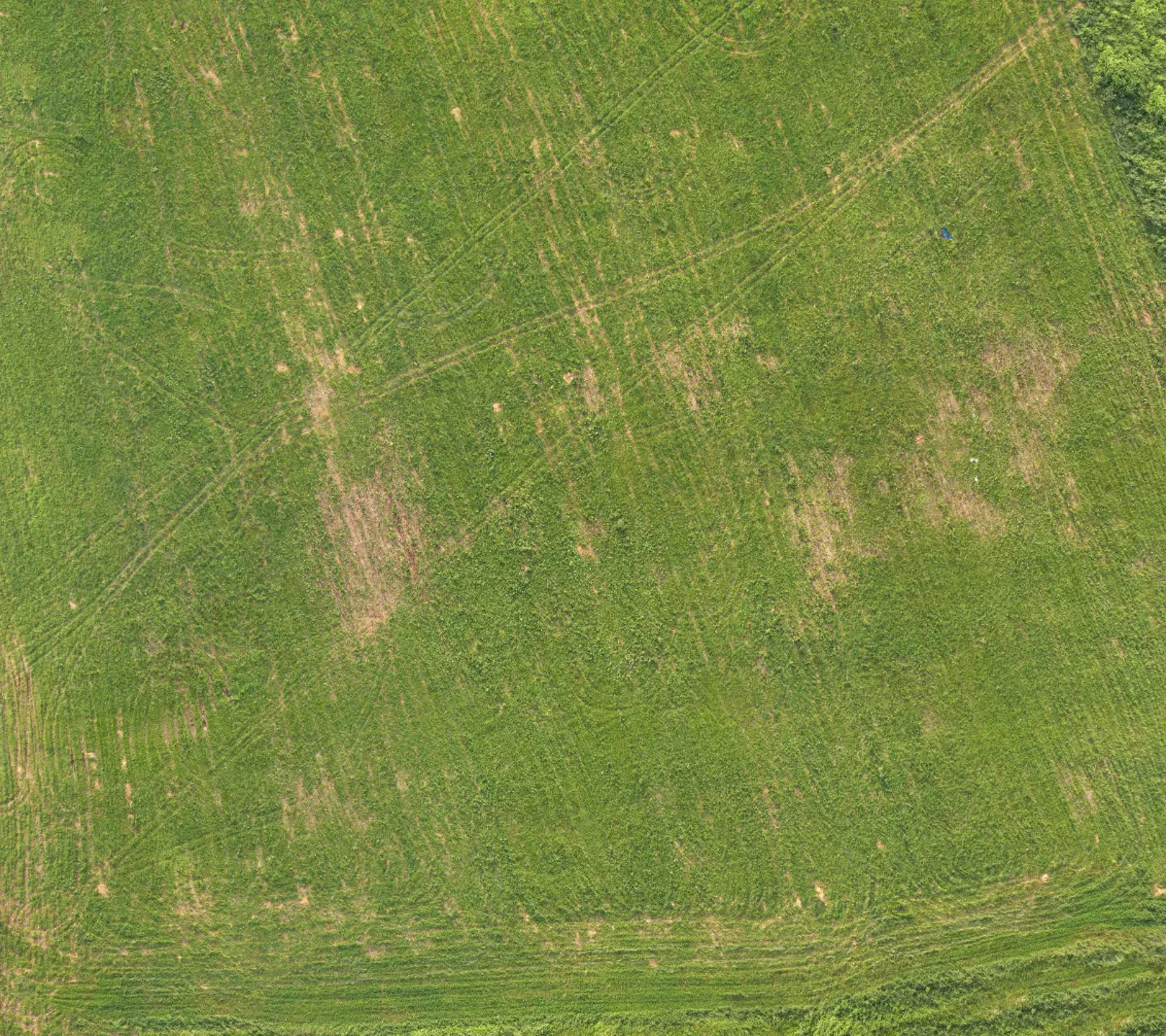 field summer 025 — Descargar