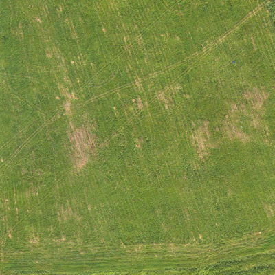 field summer 025 — Descargar