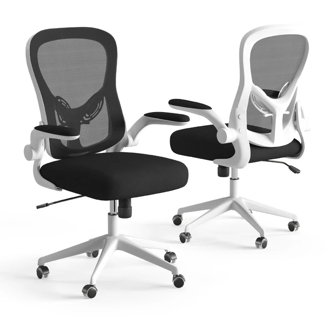 Xiaomi HBADA Ergonomic Double-Waisted Computer Chair HDNY163WM — Descargar