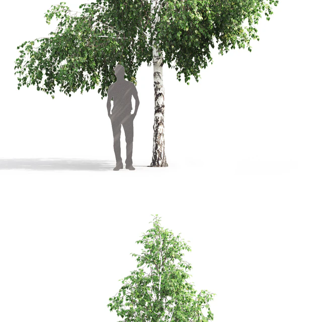 Birch — Скачать