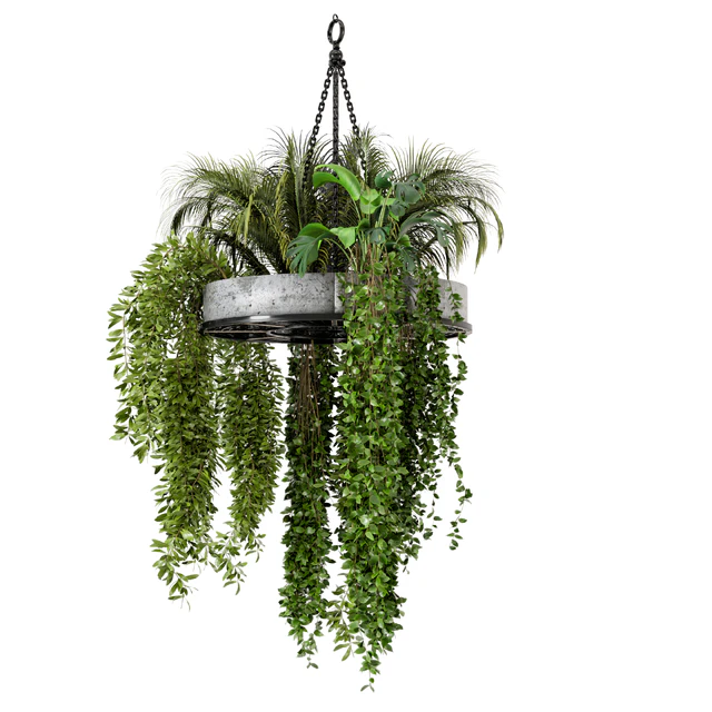 Indoor Hanging Plants in Metal Box - Set 86 — Скачать