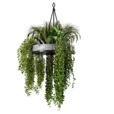Indoor Hanging Plants in Metal Box - Set 86 — Вид 3