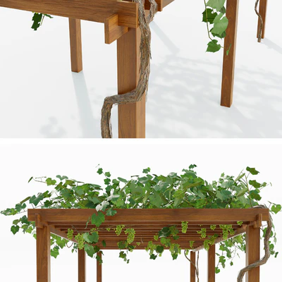 Pergola with grapes — Ver 2